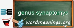 WordMeaning blackboard for genus synaptomys